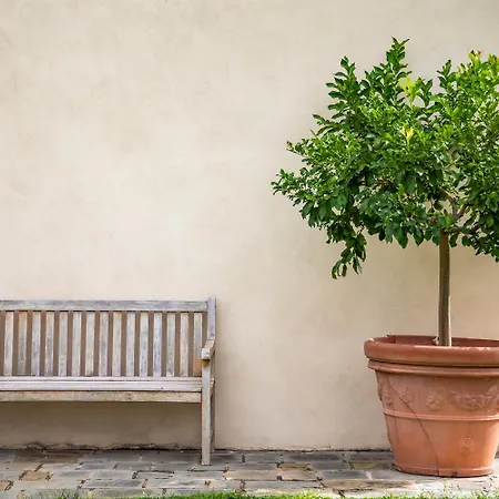Buggia Massa e Cozzile